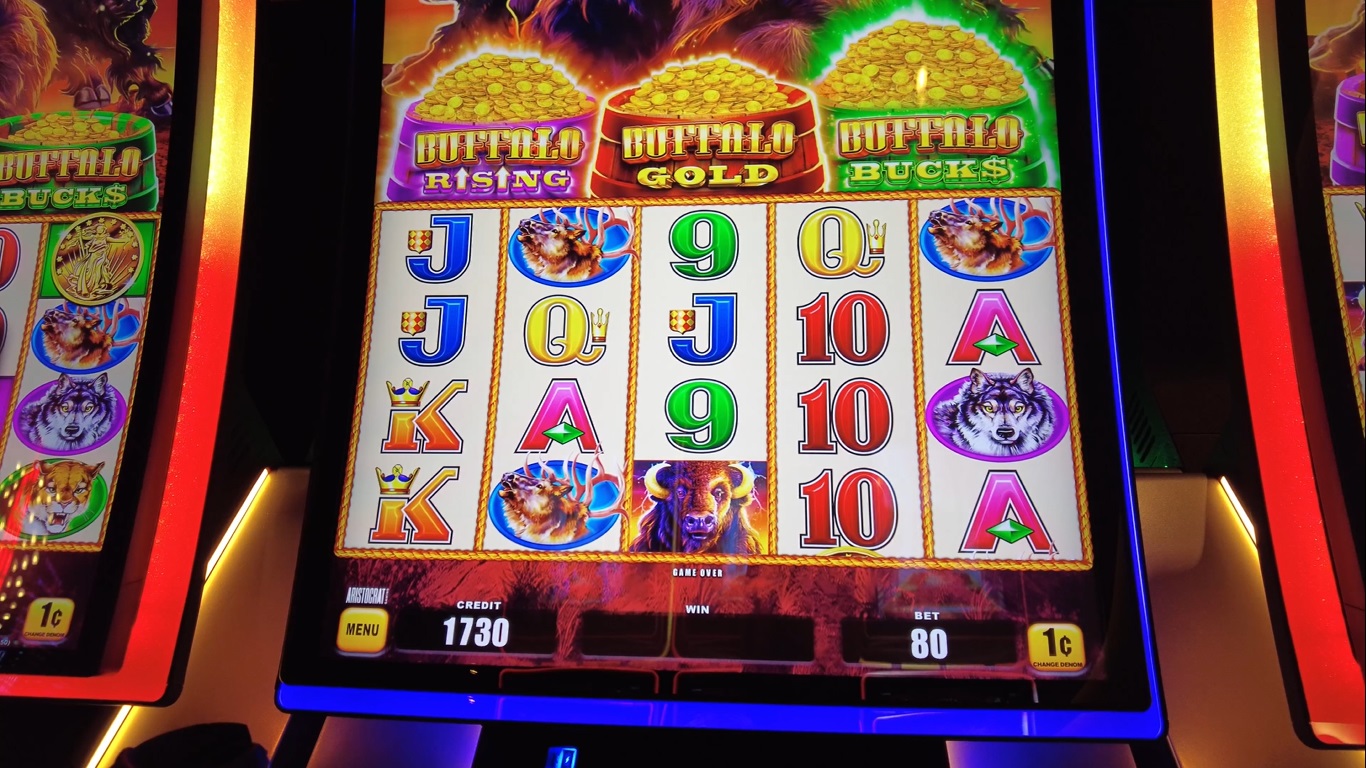 Cruise Ship Casino Games – Can We Hit Buffalo Rising/Buffalo Bucks on Buffalo Triple Power Slot with $20?